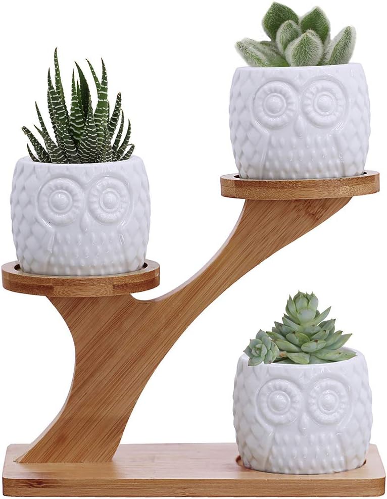 3pcs Owl Succulent Pots with 3 Tier Bamboo Saucers Stand Holder – White Modern Decorative Ceramic Flower Planter with Drainage – Home Office Desk Garden Mini Cactus Plant Pot Indoor Decoration