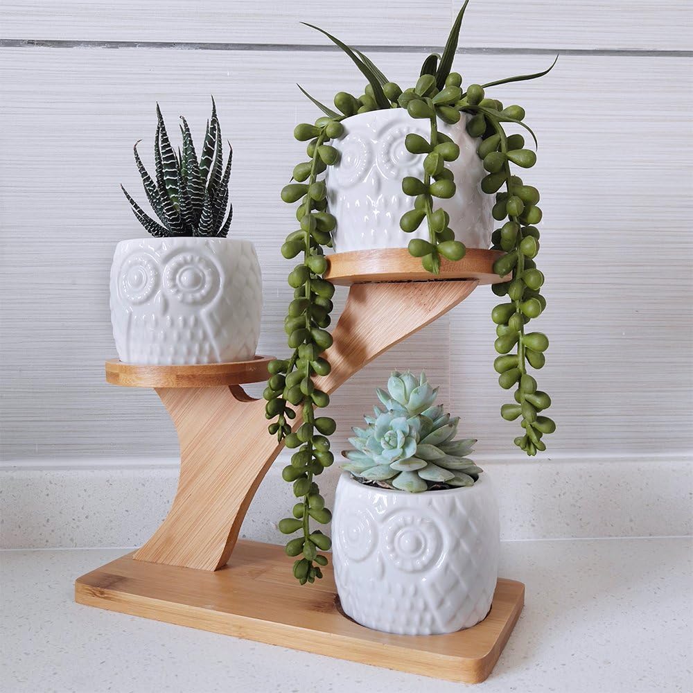 3pcs Owl Succulent Pots with 3 Tier Bamboo Saucers Stand Holder – White Modern Decorative Ceramic Flower Planter with Drainage – Home Office Desk Garden Mini Cactus Plant Pot Indoor Decoration